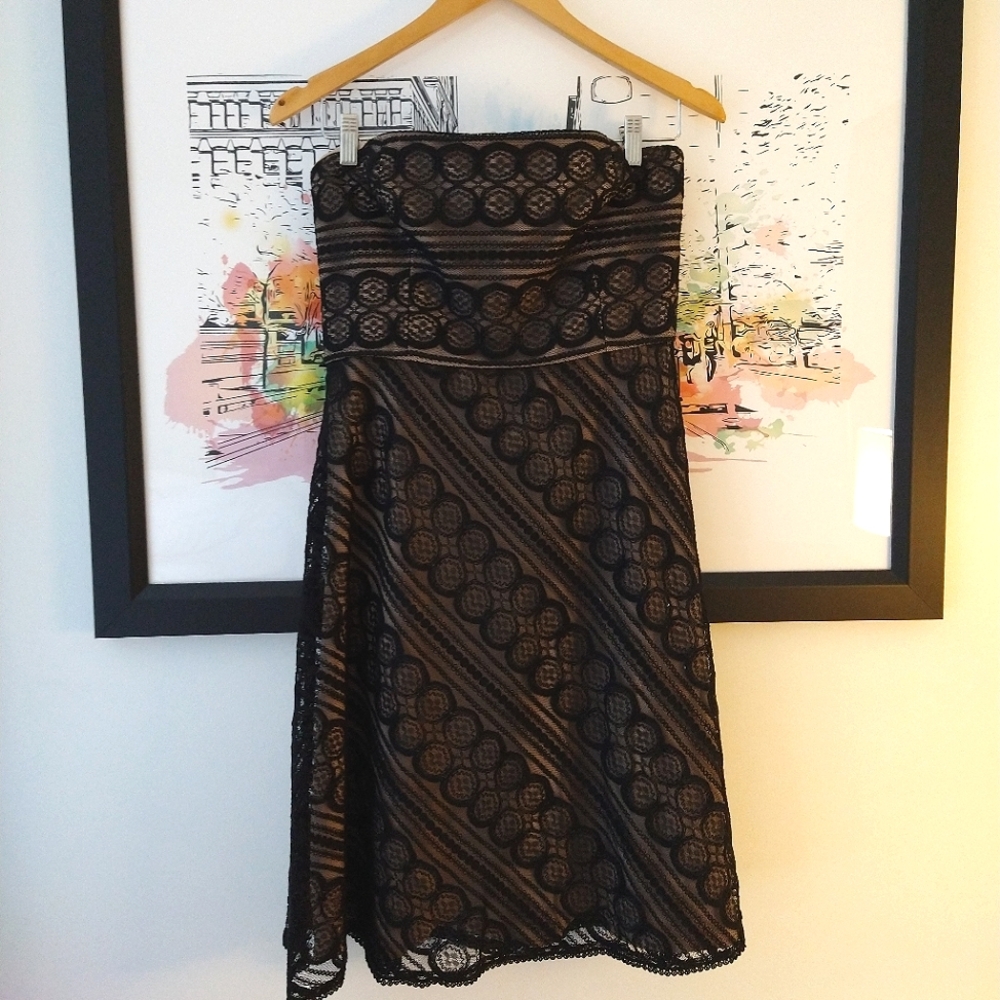 Ann Taylor Lace Strapless Dress Size 8P